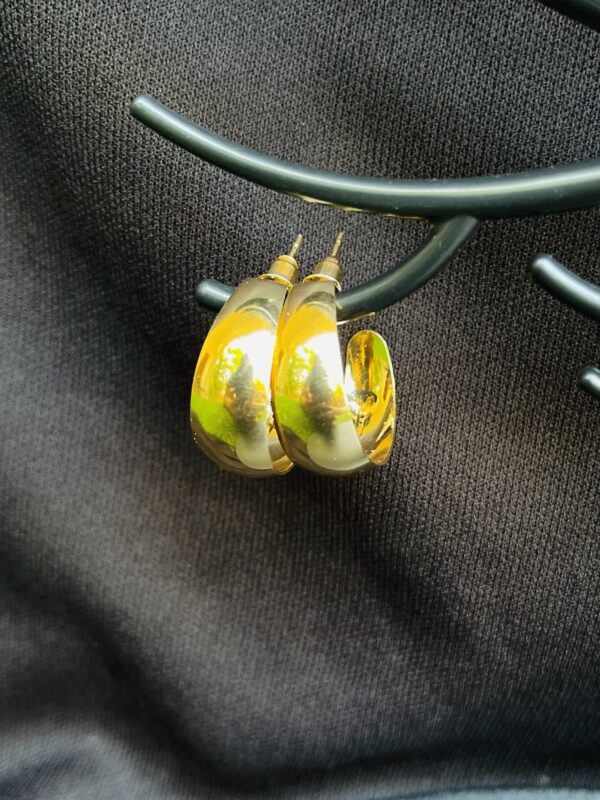 Special Design Earrings (00052)