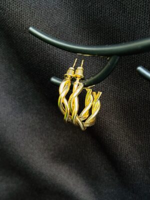 IMG_4230 Special Design Earrings (00053)