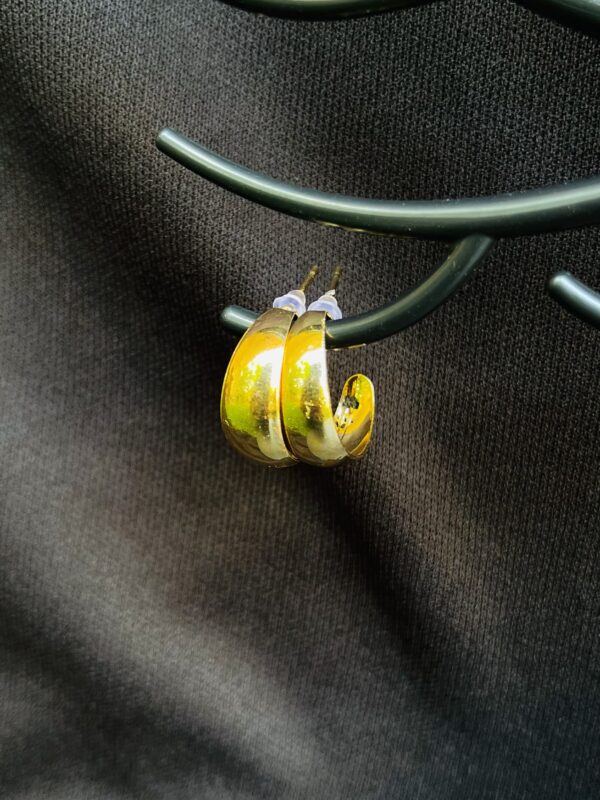 Special Design Earrings (00052)