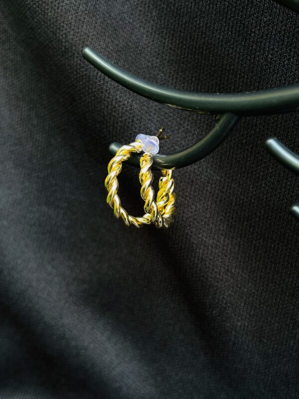 Special Design Earrings (00054)