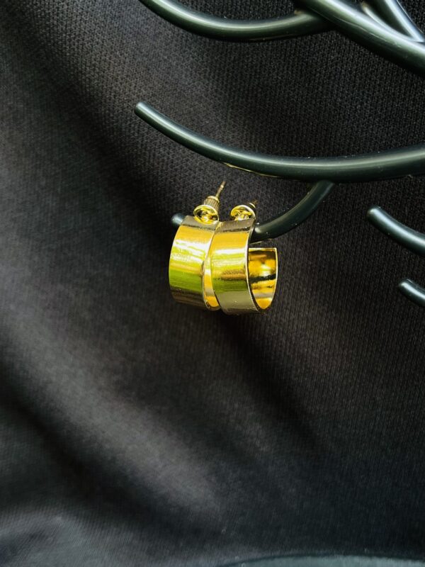 Special Design Earrings (00056)